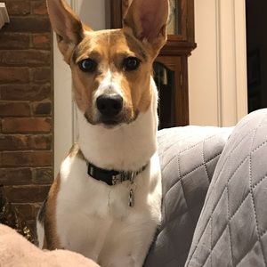 Meet your Posher, Amy